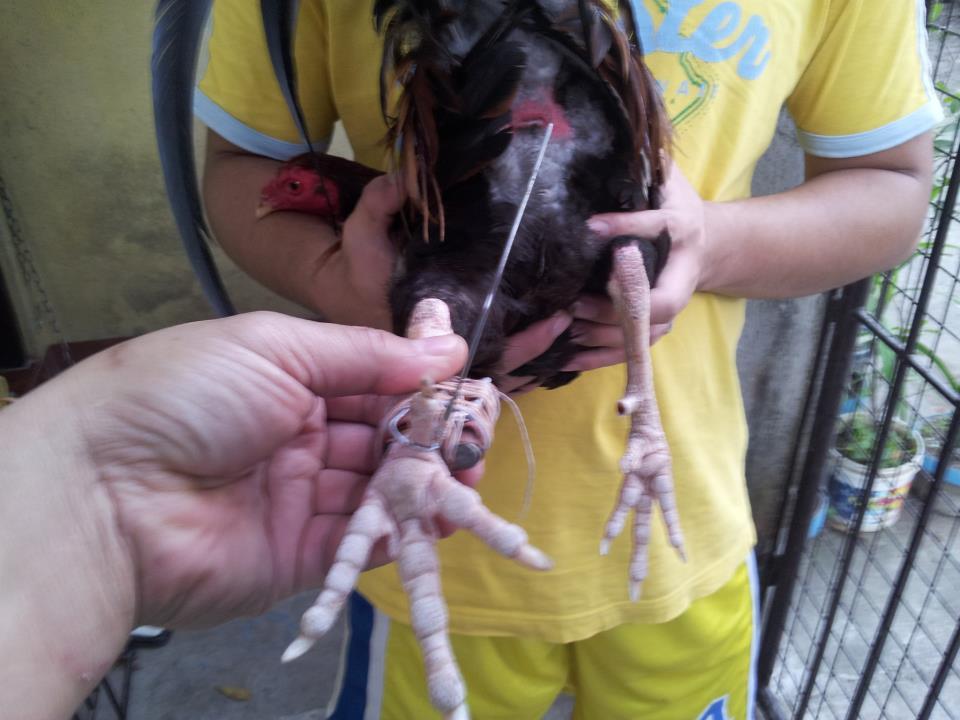 Cách 7: Lên Cựa Bằng Phương Pháp Kết Hợp