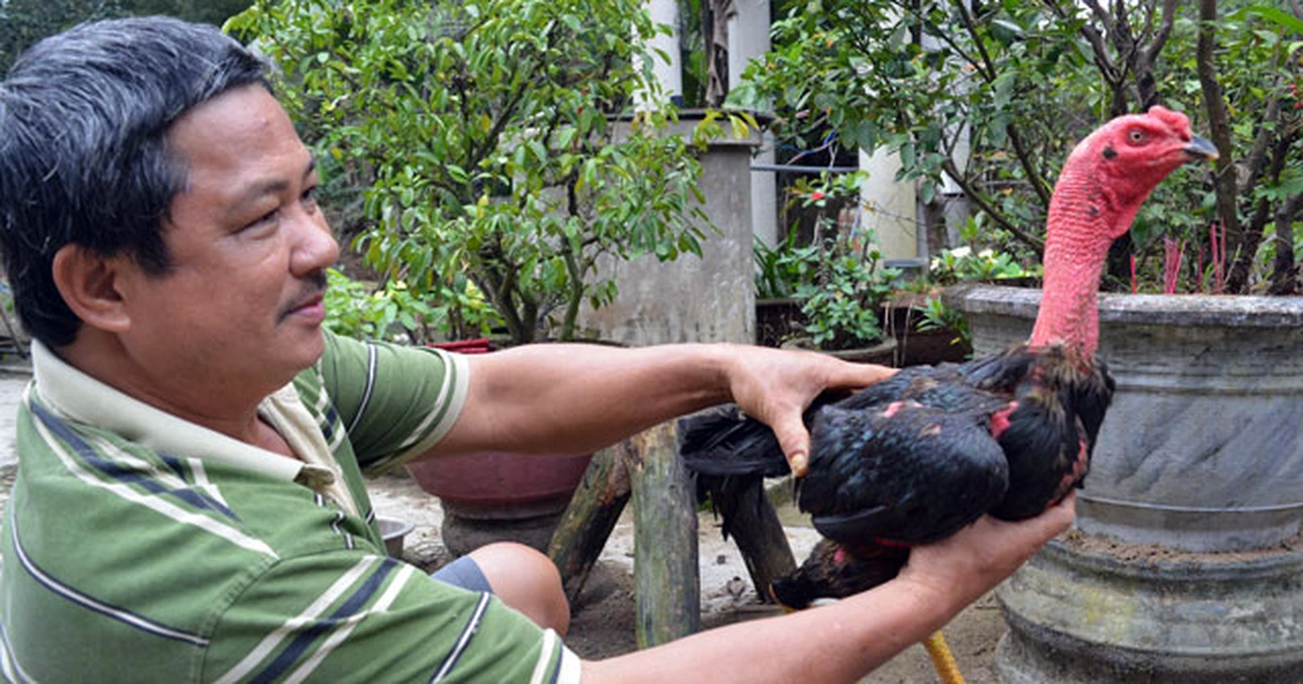 Chăm Sóc Sức Khỏe Và Phòng Bệnh