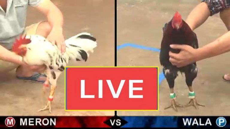 Luật Chơi Và Quy Định CPC