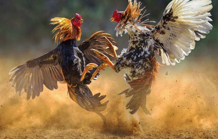 Công Nghệ Và Xu Hướng CPC 2025