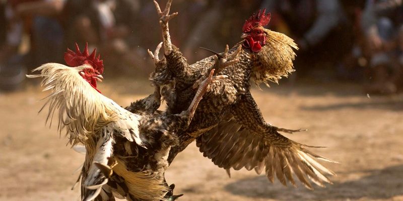 Cộng Đồng Và Văn Hóa CPC Việt Nam