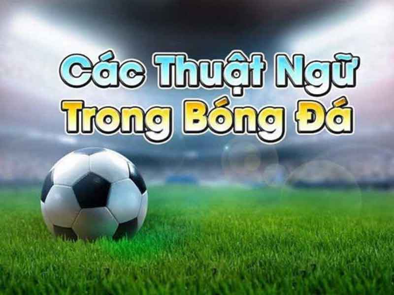 Thuật Ngữ Cá Cược Cơ Bản Nhất Định Phải Biết