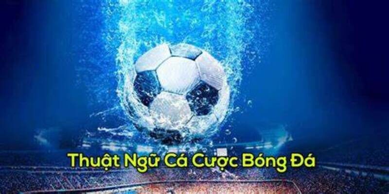 Thuật Ngữ Cá Cược Nâng Cao Cho Chuyên Gia