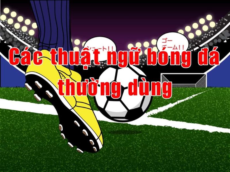 Thuật Ngữ Cá Cược Theo Từng Môn Thể Thao